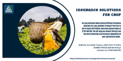 Insurance Solutions for Crop