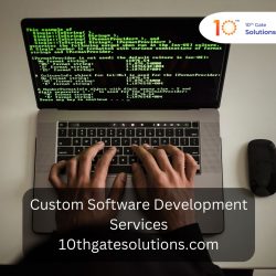 Custom Software Development Services