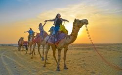 Best Taxi Service In Jaisalmer – Jodhpur Day Tours