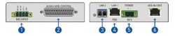 DIO | Dante Input/Output Interfaces