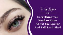 Everything You Need to Know About the Spring And Fall Lash Shed – Wisp Lashes