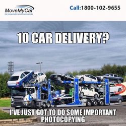 What are the advantages of multiple Car Transportation in Vadodara at one time?