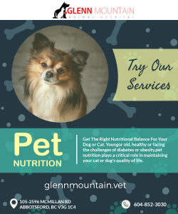 Emergency Veterinarian In Abbotsford is available to help your pets