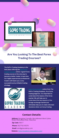 Are You Looking To The Best Forex Trading Courses?