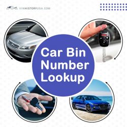 car bin number lookup USA