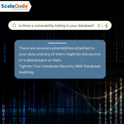Is There A Vulnerability Hiding In Your Database?