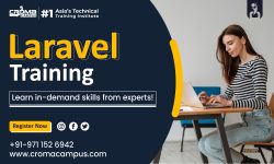 Laravel Training in Noida