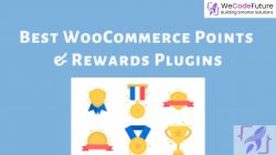 Loyalty Points and Reward Plugin: A Marketing Tool for Businesses