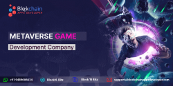 Want to Develop/Build/Start Blockchain Powered 3D Metaverse Gaming Platform?