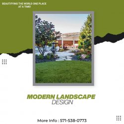 Modern Landscape Design