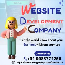 Web Development Company in India