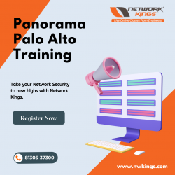 Panorama Palo Alto Training – Network Kings