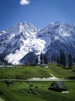 kashmir family tour packages