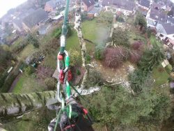 Tree Surgeon