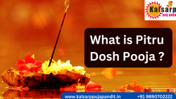 Symptoms And Benefits Of Pitru Dosh Puja