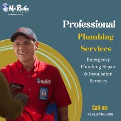 Emergency Plumbers in Thonotosassa for Plumbing Repairs