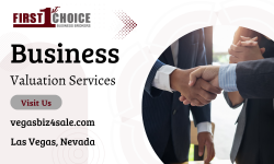 Professional Business Valuation Services