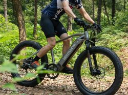 Velowave e-bike | RANGER FAT TIRE EBIKE