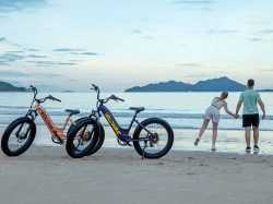 Velowave e-bike | ROVER STEP THRU EBIKE