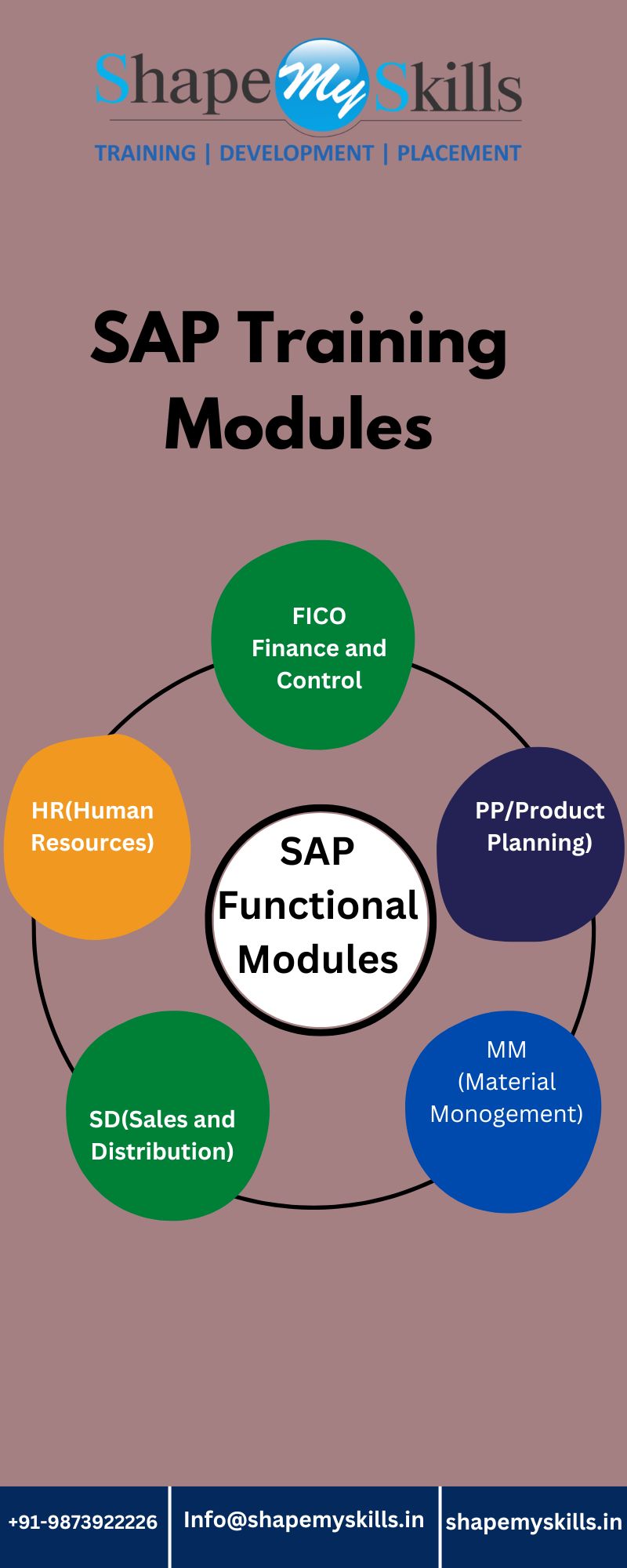 SAP Training institute in Delhi