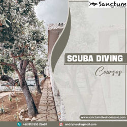 Scuba Diving Courses