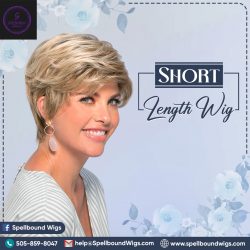 Short Length Wig