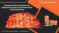 Himalayan Pink Salt Bricks And Tiles