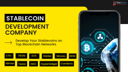 STABLECOIN DEVELOPMENT COMPANY