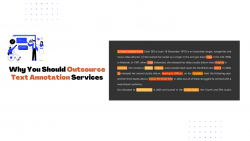 Guide to Outsourcing Text Annotation Services