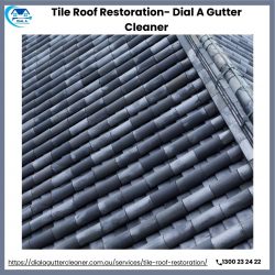 Tile Roof Restoration- Dial A Gutter Cleaner