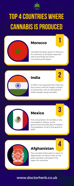 Top 4 Countries Where Cannabis is Produced