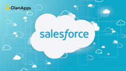 Top Salesforce Development Company