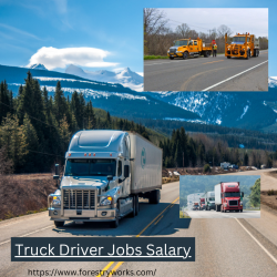 Various Truck Driver Jobs’ Salary