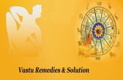 Get the Best Vastu Consultant in Noida