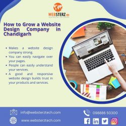 How To Increase The Website Design Company In Chandigarh