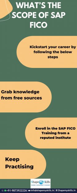 SAP FICO Training in Noida