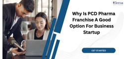 Why Is PCD Pharma Franchise A Good Option For Business Startup