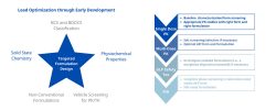 Formulations for PK/Efficacy/Tox Studies