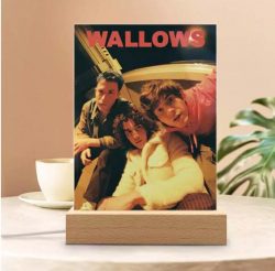 Wallows Merch