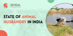 State of Animal Husbandry In India