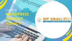 Best WordPress Support Agency in the USA