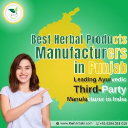 Best Herbal Products Manufacturers in Punjab