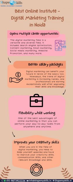 Best Online Institute | Digital Marketing Training in Noida | ShapeMySkills