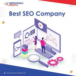 Best SEO Company in India