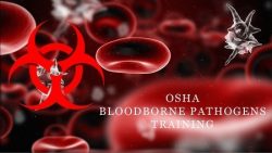 Bloodborne Pathogen Training | training-hipaa.net