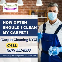 How Often Should I Clean My Carpet?