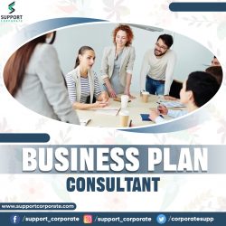 Business Plan Consultant