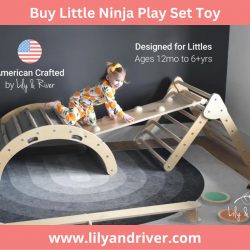 Buy Little Ninja Play Set Toy