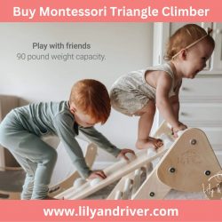 Buy Montessori Triangle Climber