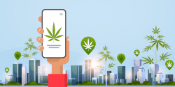 Cannabis E-commerce Web Design Agency In USA